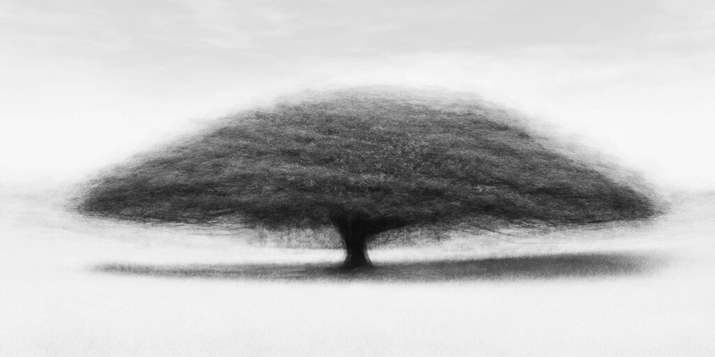 El fotógrafo danés Jacob Gils tiene como fuente de inspiración a la naturaleza