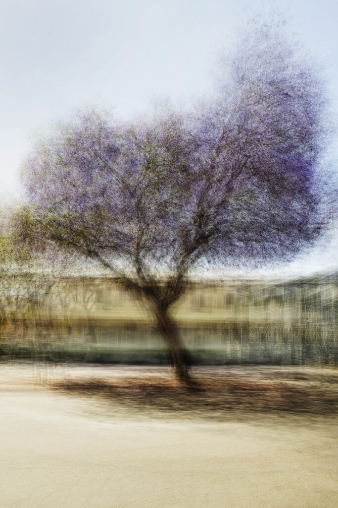 El fotógrafo danés Jacob Gils tiene como fuente de inspiración a la naturaleza